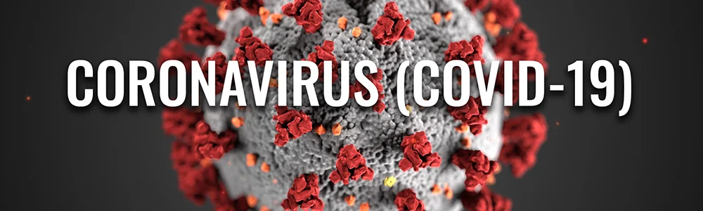 Business working procedures during COVID-19 outbreak - FLUXMALL DTG