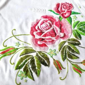 Bản In aeoon Đầy Màu Sắc