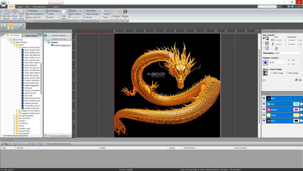 aeoon RIP software - FLUXMALL DTG