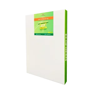 ECOFREEN The Ultimate V10 DTF Sheet Film