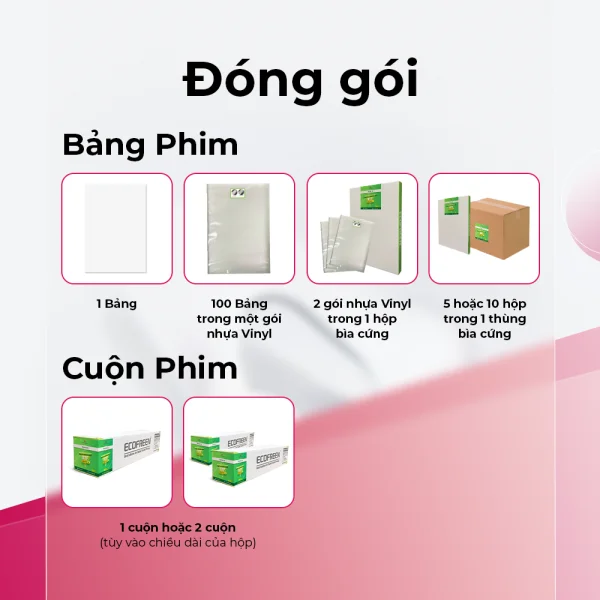 Đóng gói Phim in DTF ECOFREEN