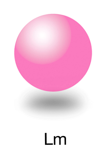 Light Magenta