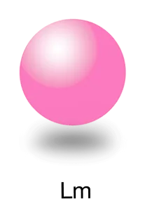 Light Magenta